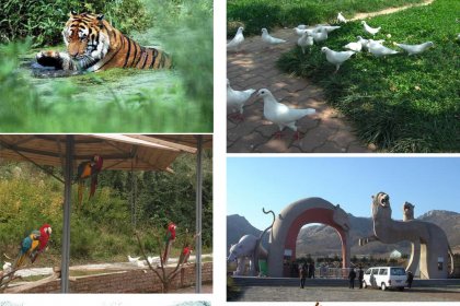 SeashoreRubber Team Building: Tavaling to Qingdao Forest Wildlife Park